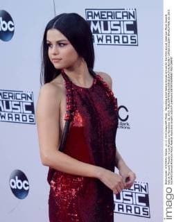 Recording artist Selena Gomez arrives for the 43rd annual American Music Awards held at Microsoft Theater in Los Angeles on November 22, 2015.  LAP2015112204 JIMxRUYMEN