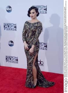 Recording artist Demi Lovato arrives for the 43rd annual American Music Awards held at Microsoft Theater in Los Angeles on November 22, 2015.  LAP20151122139 JIMxRUYMEN