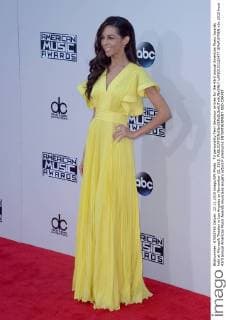 TV personality Terri Seymour arrives for the 43rd annual American Music Awards held at Microsoft Theater in Los Angeles on November 22, 2015.  LAP20151122477 JIMxRUYMEN