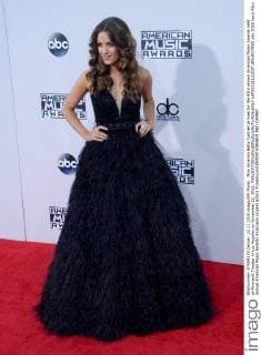 Miss America Betty Cantrell arrives for the 43rd annual American Music Awards held at Microsoft Theater in Los Angeles on November 22, 2015.  LAP20151122537 JIMxRUYMEN