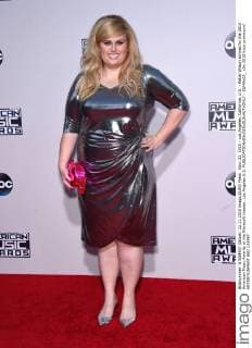 Nov. 22, 2015 - Los Angeles, California, U.S. - Rebel Wilson arrives for the 2015 American Music Awards at the Microsoft theater. Los Angeles U.S. - ZUMAo05_