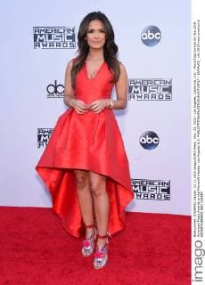 Nov. 22, 2015 - Los Angeles, California, U.S. - Rocsi Diaz arrives for the 2015 American Music Awards at the Microsoft theater. Los Angeles U.S. - ZUMAo05_