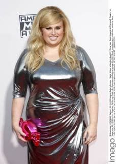 Rebel Wilson attending the 2015 American Music Awards at Microsoft Theater on November 22, 2015 in Los Angeles, California. Foto:xD.xBedrosianx xFuturexImage