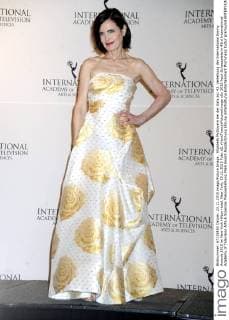 Elizabeth McGovern bei der Gala zur 43. Verleihung der International Emmy Awards 2015 im New York Hilton Hotel. New York, 23.11.2015 Foto:xD.xVanxTinex xFuturexImage