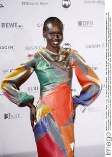 Alek Wek bei der Verleihung des Deutschen Nachhaltigkeitspreises 2015 im Maritim Hotel. Düsseldorf, 27.11.2015 Foto:xO.xHausenx xFuturexImage