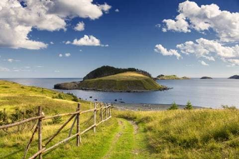 Coastal hiking trail, Tors Cove, Newfoundland, Canada  acp89523 Photography