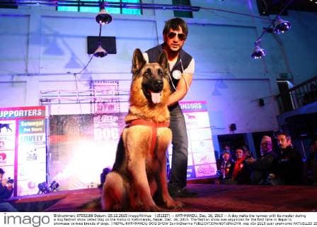 (151227) -- KATHMANDU, Dec. 26, 2015 -- A dog walks the runway with its master during a dog fashion show called Dog on the Ramp in Kathmandu, Nepal, Dec. 26, 2015. The fashion show was organized for the first time in Nepal to showcase various breeds of dogs. ) NEPAL-KATHMANDU-DOG SHOW SunilxSharma 