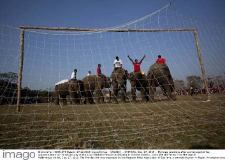 (151228) -- CHITWAN, Dec. 27, 2015 -- Mahouts celebrate after scoring against the opponent team on the second day of the 12nd Elephant Festival at Sauraha in Chitwan District, some 154 kilometers from the capital Kathmandu, Nepal, Dec. 27, 2015. The five-day fair was organized by the Regional Hotel Association of Sauraha to promote tourism in Nepal. An elephant race, a bullock cart race, a horse cart race, elephant soccer, an elephant beauty pageant and various cultural activities will be held during the event. ) NEPAL-CHITWAN-ELEPHANT FESTIVAL PratapxThapa