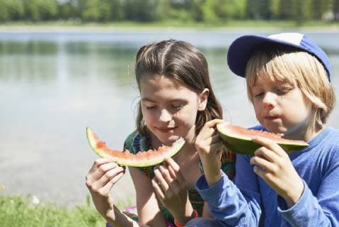 Children enjoying slices of watermelon at picnic, Munich, Bavaria, Germany mit_2017_00347