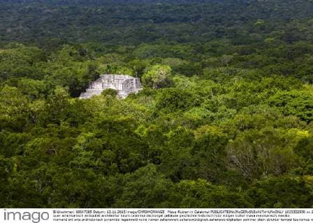 Maya-Ruinen in Calakmul  1035302550
