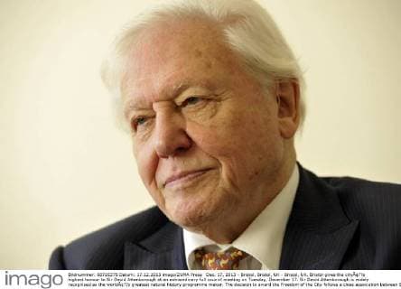 Dec. 17, 2013 - Bristol, Bristol, UK - Bristol, UK. Bristol gives the cityÃ¢??s highest honour to Sir David Attenborough at an extraordinary full council meeting on Tuesday, December 17. Sir David Attenborough is widely recognised as the worldÃ¢??s greatest natural history programme maker. The decision to award the Freedom of the City follows a close association between Bristol, the BBCÃ¢??s Natural History Unit (based in Bristol) and the renowned naturalist and film-maker. Freedom of the City will mean that Sir David AttenboroughÃ¢??s name is added to the Roll of Honorary Freemen of the City. Sir David AttenboroughÃ¢??s career as a naturalist and broadcaster has spanned nearly six decades and there are very few places on the globe he has not visited. 17 December 2013..Photo credit : Simon Chapman LNP  - ZUMAl94_