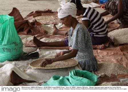 IMAGO Nature: Unsere Erde, Klimawandel, Ernährung, Pflanzen der Zukunft, Kichererbse June 13, 2014 - Adama, Ethiopia - Deratu Negusse sorts seed at the Lume Adama Chickpea Farmers Cooperative Union June 13, 2014 in Adama, Ethiopia. Adama Ethiopia - ZUMAp138