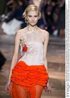 Paris Fashion Week - Christian Dior Modenschau 204257 Marineau Starface 2016-01-25 Paris France Paris Fashion week. Defilé Haute Couture Printemps été 2016 Christian Dior. Christian Dior, spring-summer 2016 Paris, France Editorial use only _sans_perso  Copyright: xMarineaux STAR_204257_063
