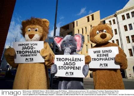 Wildtiere demonstrieren: Wir sind keine Trophäen! Deutschland, Berlin, 28.01.2106, Unterstützern der Tierrechtsorganisation, die als Wildtiere kostümiert und mit Protestschildern mit der Aufschrift ãWir sind keine TrophäenÒ und Trophäenjagd stoppen!, (Übergabe 33.000 Unterschriften für ein Importverbot von Jagdtrophäen PETA-Aktion), vor dem Bundesministerium für Umwelt, Naturschutz, Bau und Reaktorsicherheit,