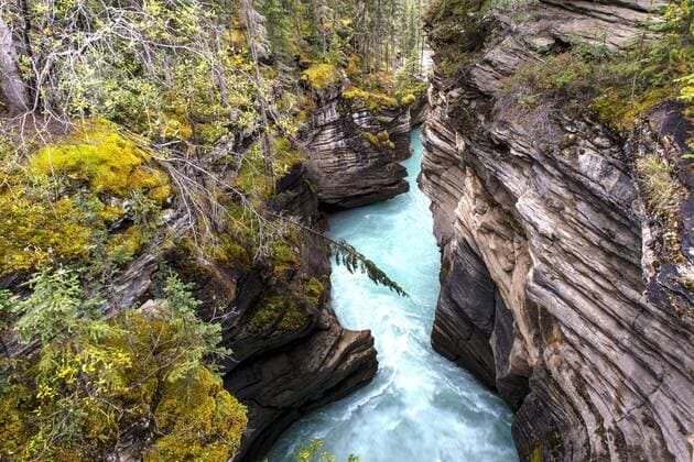 Athabasca River, Jasper-Nationalpark, Alberta, Kanada, Nordamerika Copyright: imageBROKER SonjaxJordan ibxjor04299660.jpg