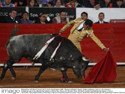 Mexican bullfighter Ignacio Garibay performs a pass to a bull during a bullfighting part of the Mexican Big Season in Mexico City, Mexico, 05 February 2016. EFE Mario Guzman Bullfitghting Big Season in Mexico !ACHTUNG: NUR REDAKTIONELLE NUTZUNG!  MEX36 20160206-635903364812561345