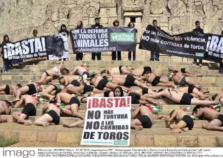 Protest gegen Stierkämpfe in Mexiko Anima Naturalis activists protest half-naked agaist bullfighting at the Flag monument in Merida, Yucatan, Mexico, 07 February 2016. PROTEST AGAINST BULLFIGHTING IN MEXICO CITY !ACHTUNG: NUR REDAKTIONELLE NUTZUNG!  MEX16 20160208-635905031279357043