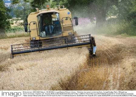 IMAGO Nature: Unsere Erde, Klimawandel, Ernährung, Pflanzen der Zukunft, Hafer Combine harvester combining Oats, Haregill Lodge Farm, Ellingstring, North Yorkshire, England, UK, August.  1394422 PaulxxHarrisx x2020VISION