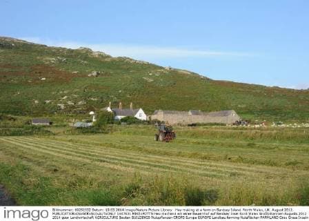 Hay making at a farm on Bardsey Island. North Wales, UK. August 2012.  1407631 MIKExPOTTS