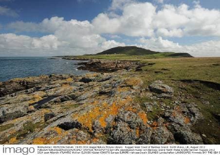Rugged West Coast of Bardsey Island. North Wales, UK, August 2012  1407635 MIKExPOTTS