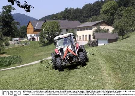Grünland, Zetten  1065504941