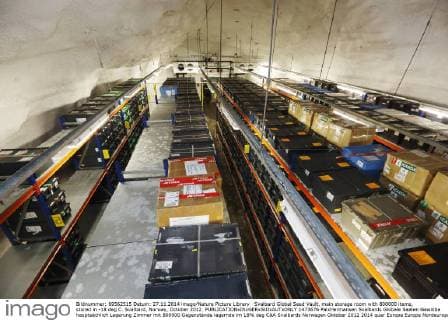 Svalbard Global Seed Vault, main storage room with 800000 items, stored in -18 deg C. Svalbard, Norway, October 2012.  1473676 PalxHermansen