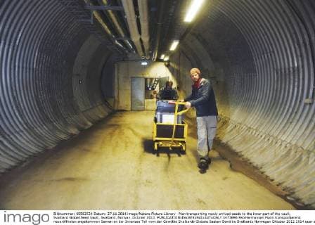 Man transporting newly arrived seeds to the inner part of the vault, Svalbard Global Seed Vault, Svalbard, Norway, October 2012.  1473696 PalxHermansen