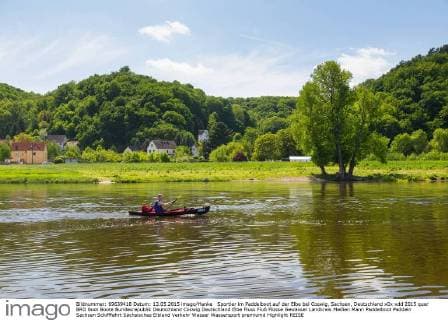 Sportler im Paddelboot auf der Elbe bei Coswig, Sachsen, Deutschland