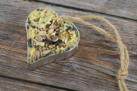 IMAGO Nature: Unsere Erde, Umweltverträgliche Herausforderungen, Recycling selbstgemachtes Vogelfutter wurde in ein herzfoermiges Foermchen zum Aufhaengen gefuellt self made birdseeds are filled in heartshaped jars BLWS419331 Copyright: xblickwinkel F.xHeckerx
