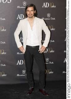 X edition of the awards AD Interior Design and Architecture at Hotel Ritz in Madrid, March 03, 2016  (20160303065)