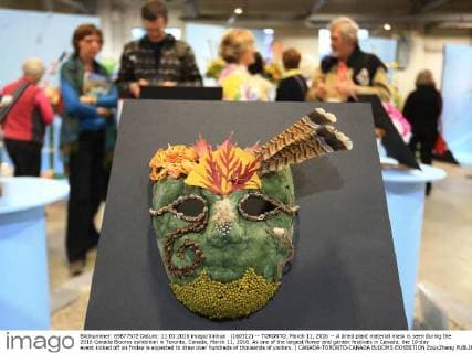 (160312) -- TORONTO, March 11, 2016 -- A dried plant material mask is seen during the 2016 Canada Blooms exhibition in Toronto, Canada, March 11, 2016. As one of the largest flower and garden festivals in Canada, the 10-day event kicked off on Friday is expected to draw over hundreds of thousands of visitors. ) CANADA-TORONTO-CANADA BLOOMS EXHIBITION ZouxZheng 
