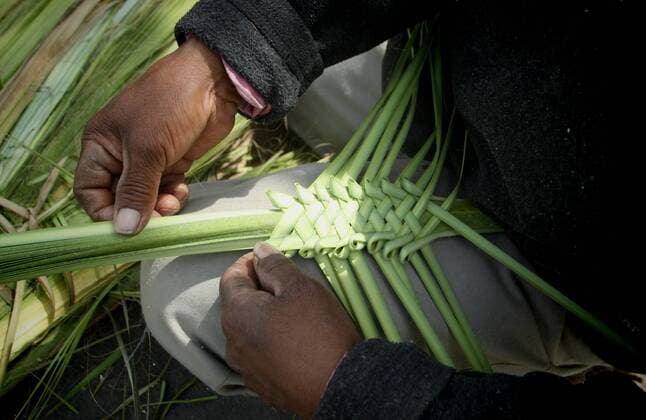 (160320) -- MEXICO CITY, March 20, 2016 -- A resident makes a branch of palm on the occasion of Palm Sunday, in the framework of Holy Week, in Mexico City, capital of Mexico, on March 20, 2016. Jorge R¨ªos) (jp) (fnc) MEXICO-MEXICO CITY-HOLY WEEK e JorgexR¨ªosxponce 