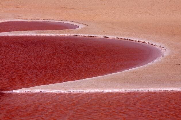 Tunisia, near Tozeur, Chott El Jerid, salt lake  DSGF001058