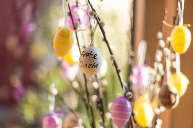 Twigs of pussy willows decorated with Easter eggs  SARF002607