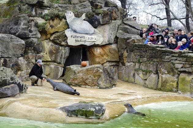24.03.2016, Berlin, Deutschland, GER, Zoologischer Garten Berlin (ZOO), mit über 20.000 Tieren in fast 1600 Arten gilt er als der artenreichste Zoo weltweit. Kommentierte Fütterung der Seehunde um 13.30 Uhr. zahlreiche Besucher schauen der Show zu.