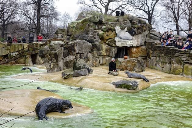 24.03.2016, Berlin, Deutschland, GER, Zoologischer Garten Berlin (ZOO), mit über 20.000 Tieren in fast 1600 Arten gilt er als der artenreichste Zoo weltweit. Kommentierte Fütterung der Seehunde um 13.30 Uhr. zahlreiche Besucher schauen der Show zu.
