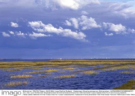 Wattenmeer; Biosphaerenreservat; Dietmarschen; !AUFNAHMEDATUM GESCHÄTZT!