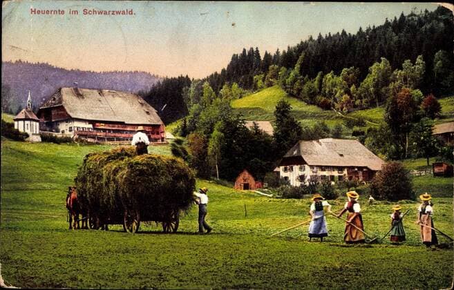 Heuernte im Schwarzwald, Bauern mit Pferdekarren und Heugabeln !AUFNAHMEDATUM GESCHÄTZT!
