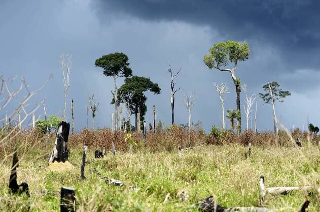 IMAGO Nature: Unsere Erde, Umweltverträgliche Herausforderungen, Regenwald Brazil, Para, Itaituba, Amazon rainforest, slash and burn, reclamation of pastureland  FLKF000678