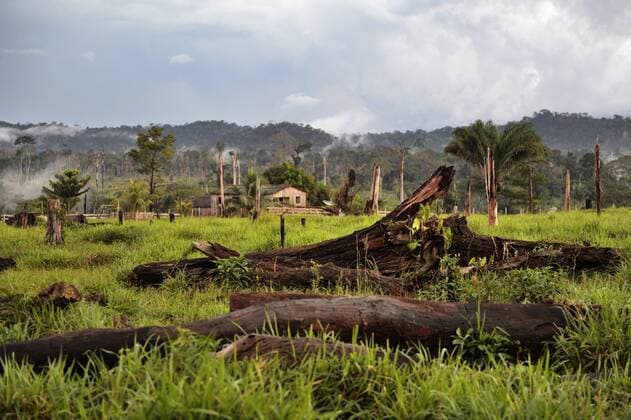 IMAGO Nature: Unsere Erde, Umweltverträgliche Herausforderungen, Regenwald Brazil, Para, Itaituba, Amazon rainforest, slash and burn, reclamation of pastureland  FLKF000681