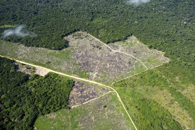 IMAGO Nature: Unsere Erde, Umweltverträgliche Herausforderungen, Regenwald Brazil, Para, Itaituba, Amazon rainforest, slash and burn, reclamation of pastureland  FLKF000685