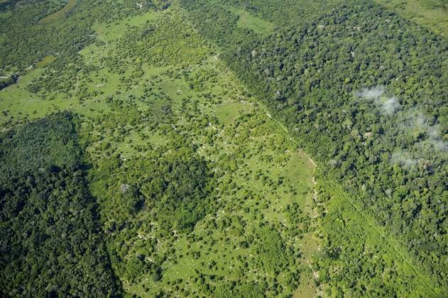 IMAGO Nature: Unsere Erde, Umweltverträgliche Herausforderungen, Regenwald  Luftbild, großflächige Rodung für die Gewinnung von Viehweiden, Amazonas-Regenwald, District Itaituba, Bundesstaat Para, Brasilien, Südamerika Copyright: imageBROKER/FlorianxKopp ibxflk04346598.jpg
