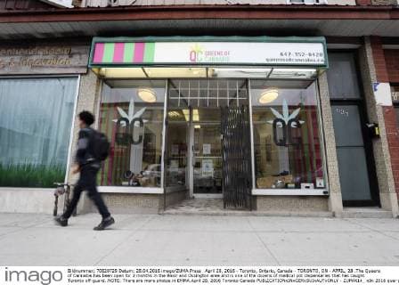 April 28, 2016 - Toronto, Ontario, Canada - TORONTO, ON - APRIL, 28 .The Queens of Cannabis has been open for 2 months in the Bloor and Ossington area and is one of the dozens of medical pot dispensaries that has caught Toronto off-guard..NOTE: There are more photos in EMMA.April 28, 2016 Toronto Canada  - ZUMAt14_