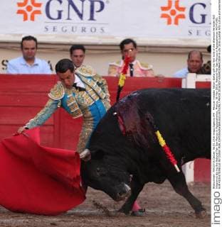 Mexican matador Fabian Barba with his first bulls of the afternoon Feriante (503 kilograms) during the National Fair San Marcos in Aguascalientes, Mexico, 06 May 2016. National Fair San Marcos in Aguascalientes !ACHTUNG: NUR REDAKTIONELLE NUTZUNG!  MEX30 20160507-635981939642283416