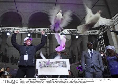 May 6, 2016 - Los Angeles, CA, USA - Doves are released during the Prince Tribute concert held at the Los Angeles City Hall located in Los Angeles, California, on Friday, March 6, 2016. Los Angeles USA - ZUMAh129