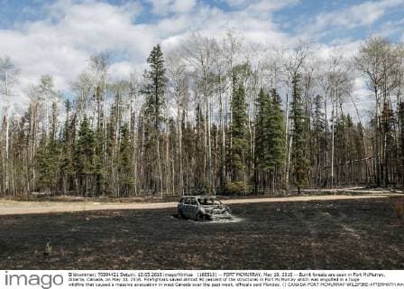 (160510) -- FORT MCMURRAY, May 10, 2016 -- Burnt forests are seen in Fort McMurray, Alberta, Canada, on May 10, 2016. Firefighters saved almost 90 percent of the structures in Fort McMurray which was engulfed in a huge wildfire that caused a massive evacuation in west Canada over the past week, officials said Monday. () CANADA-FORT MCMURRAY-WILDFIRE-AFTERMATH AmruxSalahuddien 