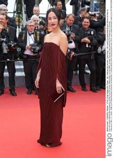69. Festival de Cannes: Slack Bay - Ma Loute Filmpremiere Nicole Warne arrives on the red carpet before the screening of the film Ma Loute (Slack Bay) at the 69th annual Cannes International Film Festival in Cannes, France on May 13, 2016.  CAN20160513834 DAVIDxSILPA