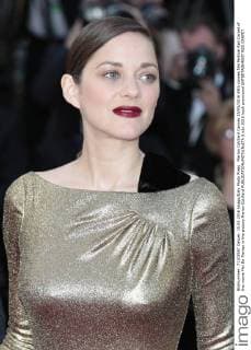 Marion Cotillard Cannes 15 05 2016 69th cannes film festival Red Carpet of the movie Mal De Pierres in the picture Marion Cotillard  0