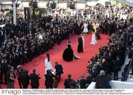 69. Festival de Cannes - Stars auf dem Roten Teppich im Fokus der Fotografenschar 207672 Serge Arnal Starface 2016-05-15 Cannes France 69th Annual Cannes Film Festival. Photocall of the movie « Mal de pierre» . 69ème Festival International du film de Cannes. Photocall du film « Mal de pierres »  Copyright: xSergexArnalx xStarfacex STAR_207672_021