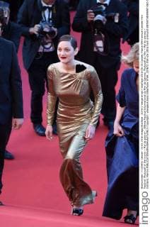 207672 Serge Arnal Starface 2016-05-15 Cannes France 69th Annual Cannes Film Festival. Photocall of the movie « Mal de pierre» . 69ème Festival International du film de Cannes. Photocall du film « Mal de pierres » Cotillard, Marion  Copyright: xSergexArnalx xStarfacex STAR_207672_059